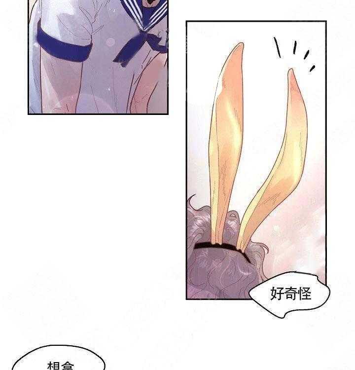 第75话_好奇怪11