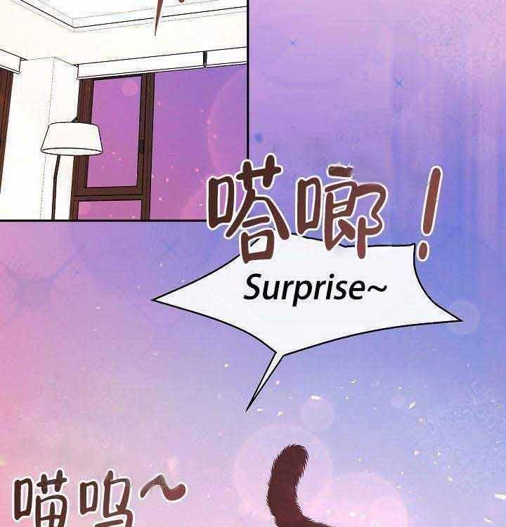 第62话_猫女10