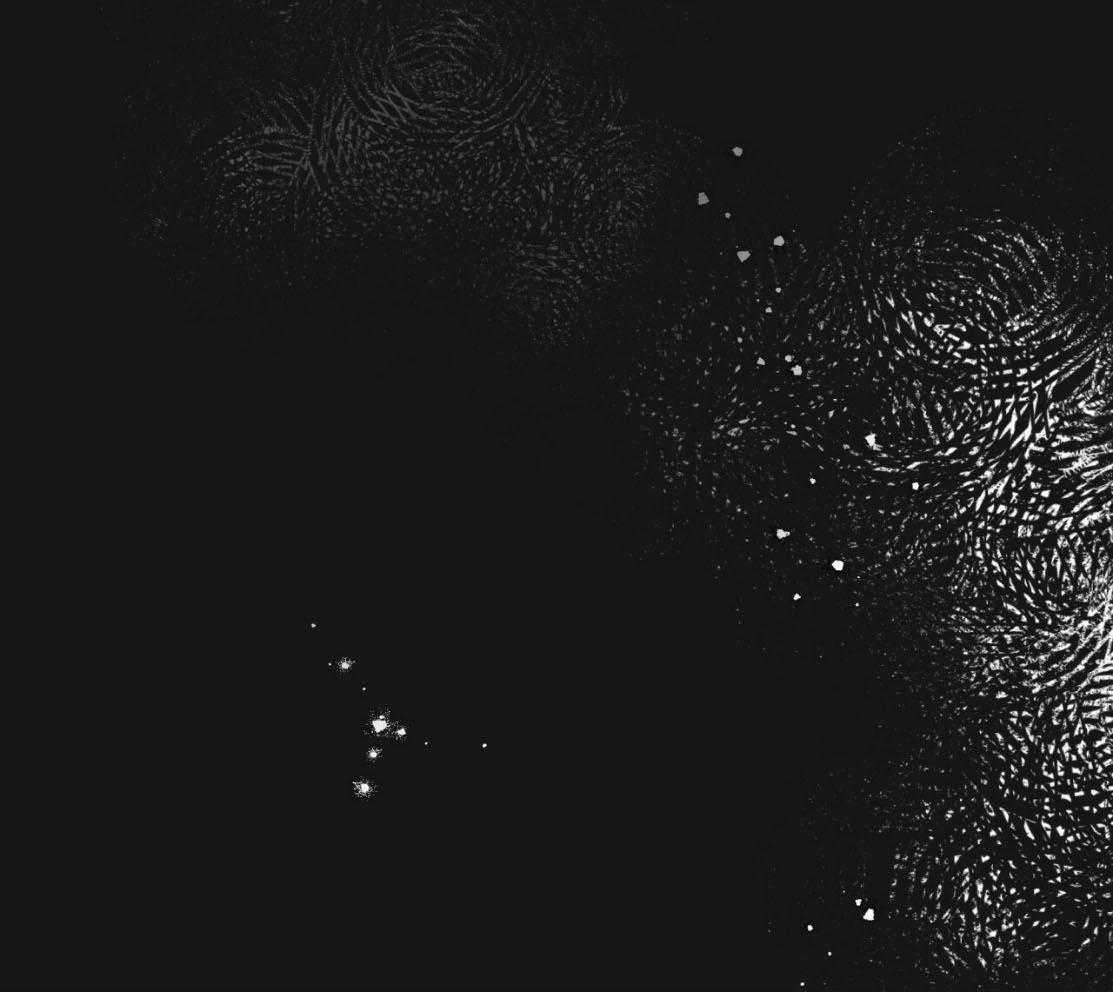 第139话_放不下的是我29