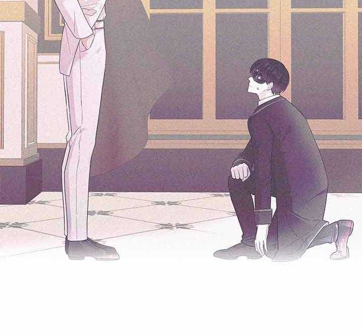 第72话_我的白兔39