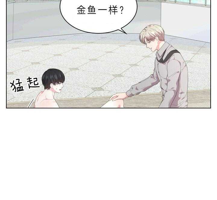 第50话_像只金鱼4