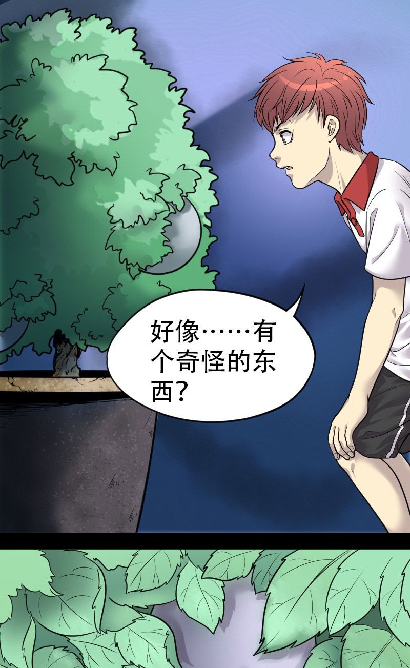 第11话4