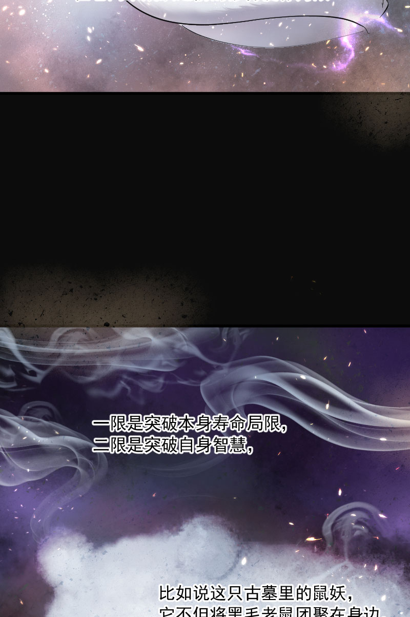 第195话17