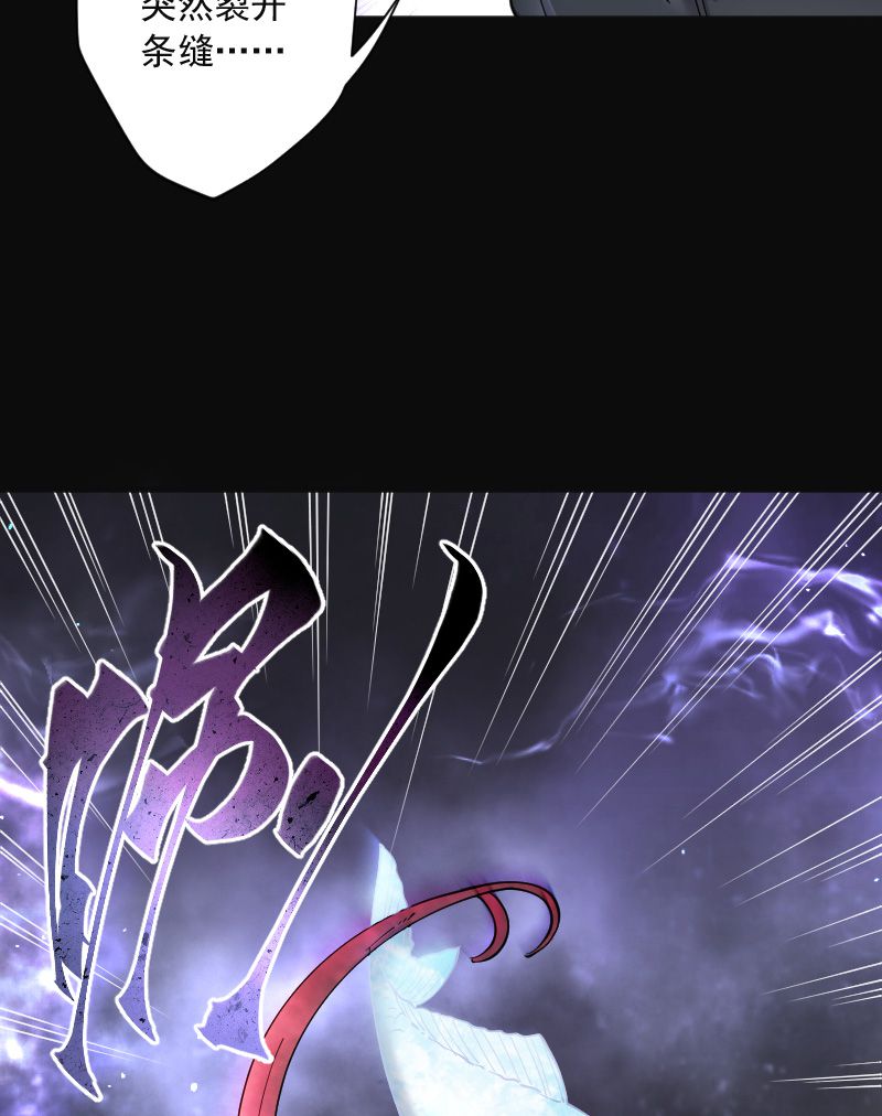 第204话18