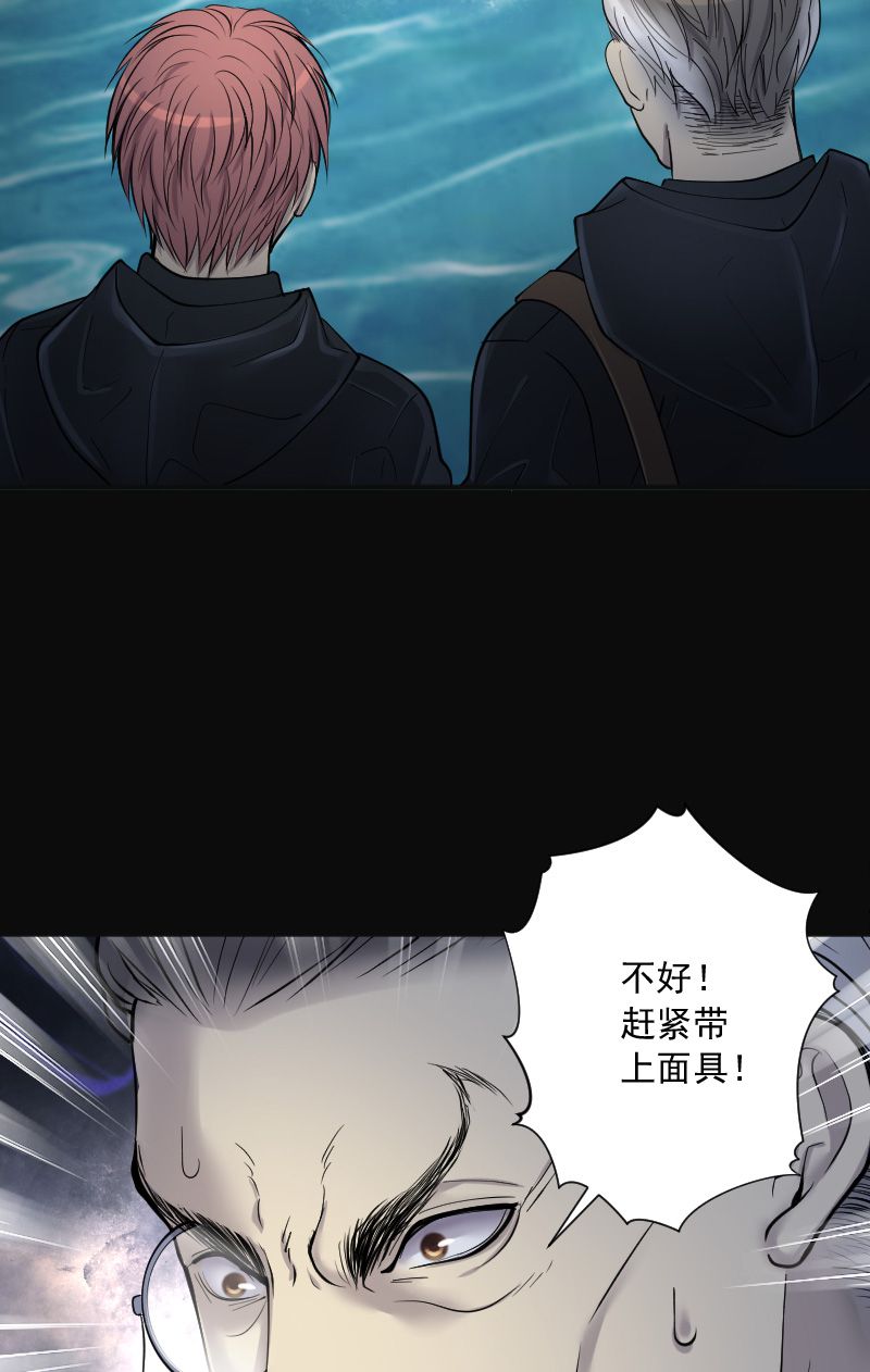 第204话24