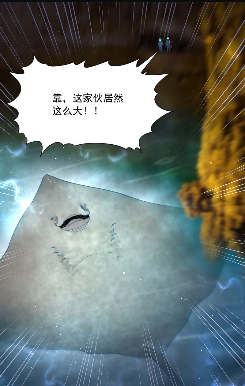 第204话31