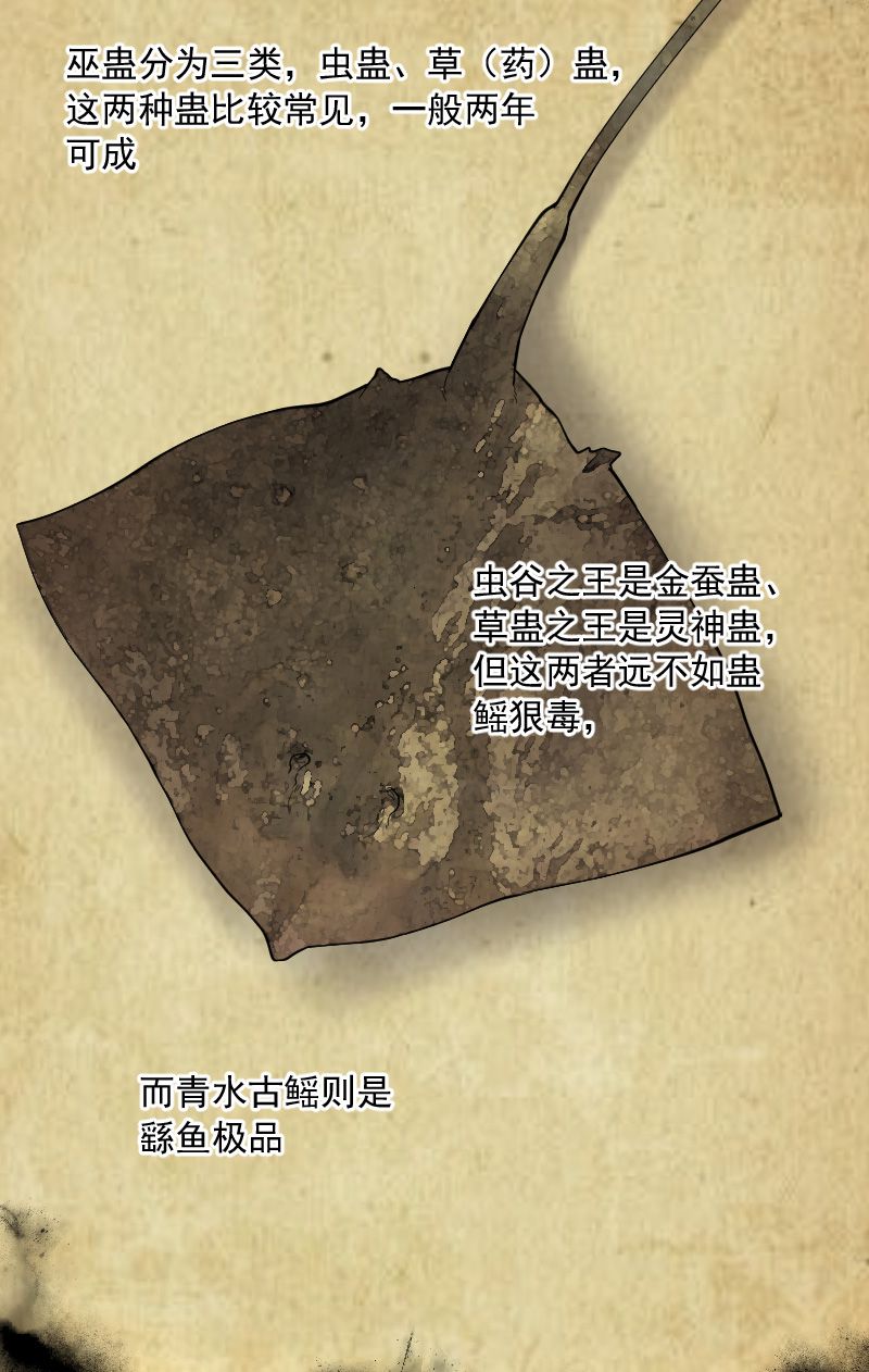 第204话34