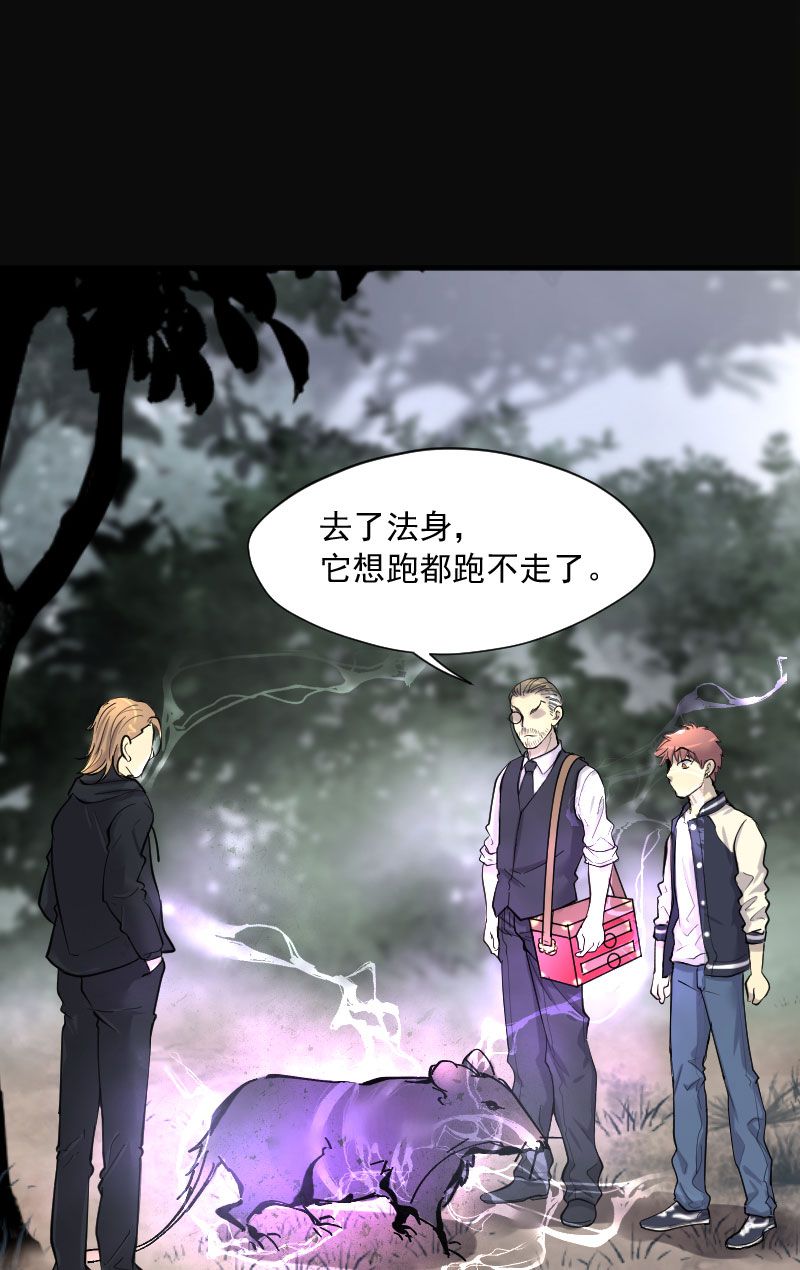 第209话5