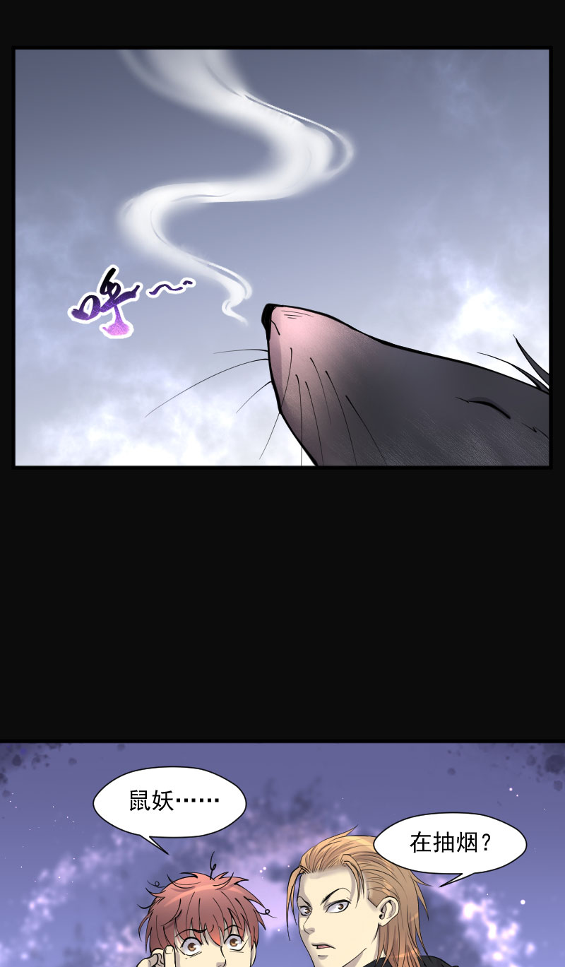 第210话12