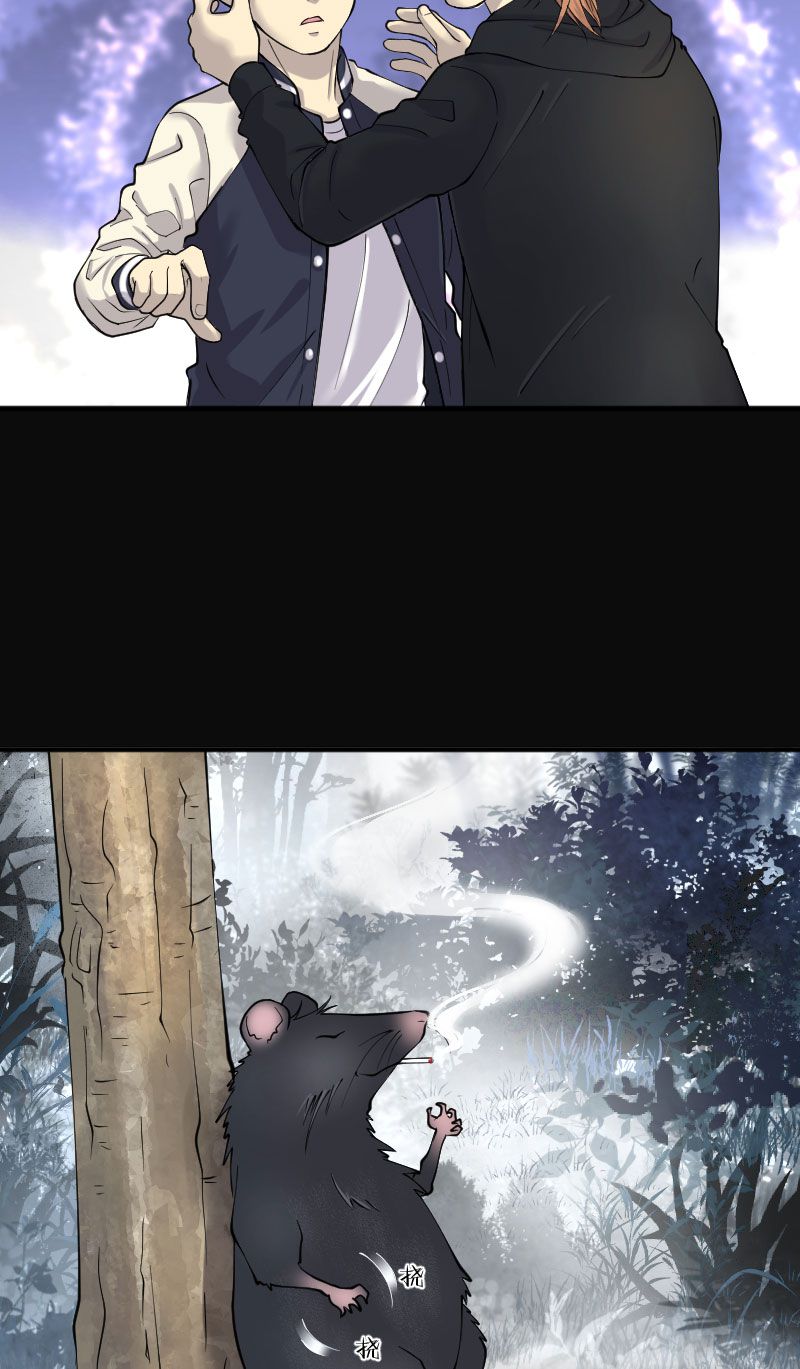 第210话13