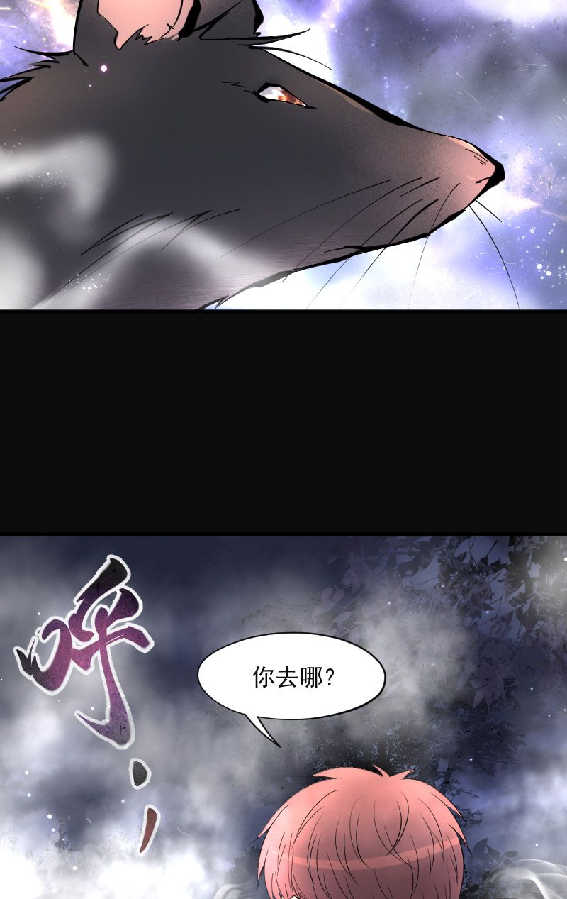 第211话20