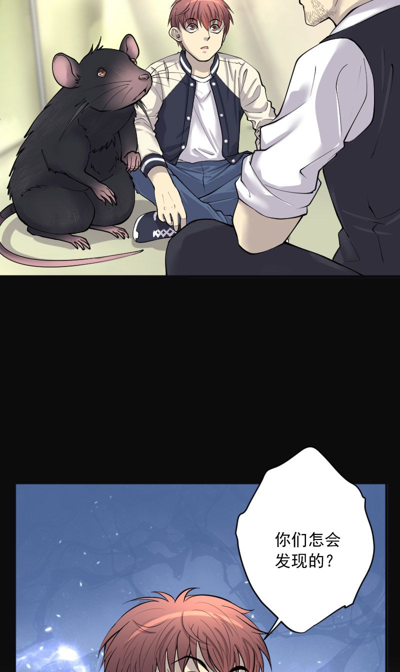 第217话18