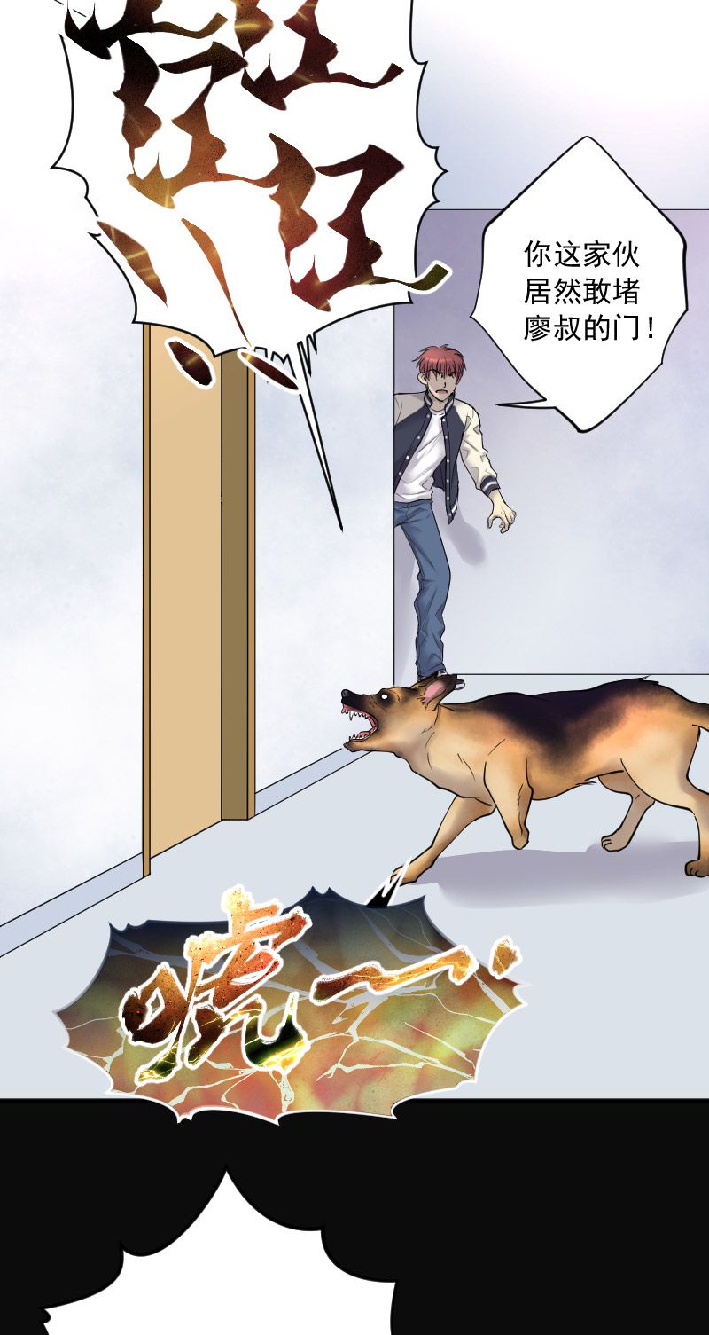 第224话19