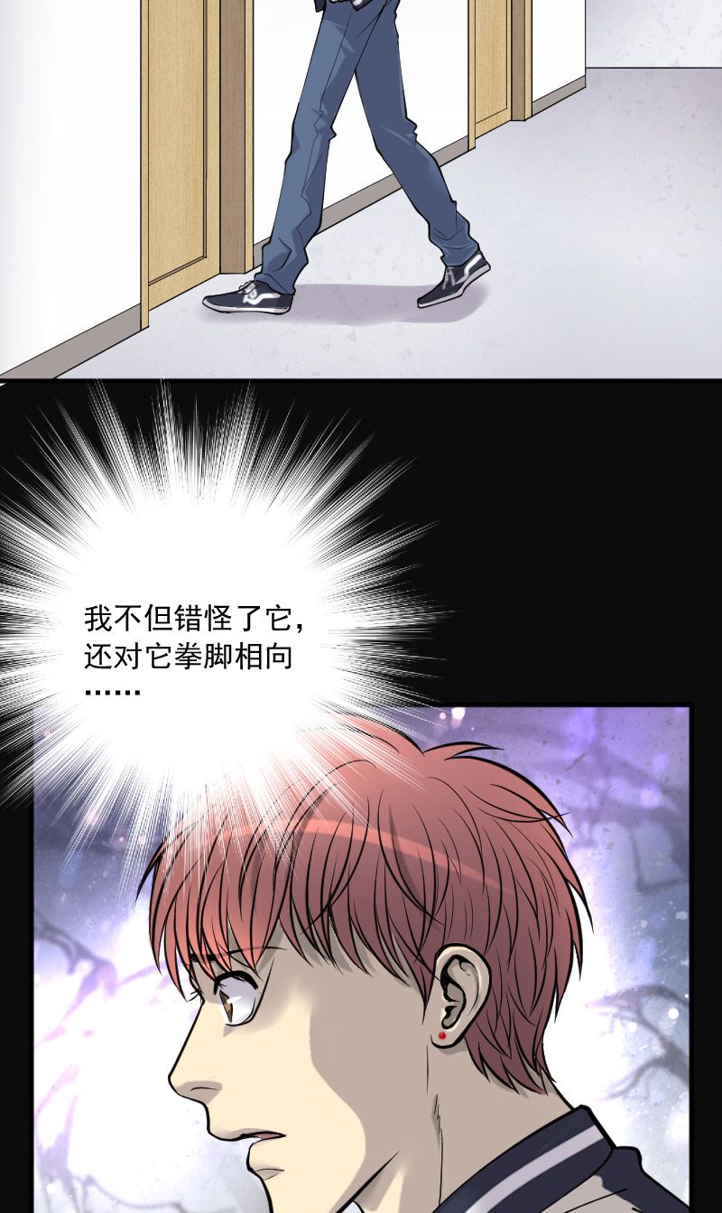 第229话13