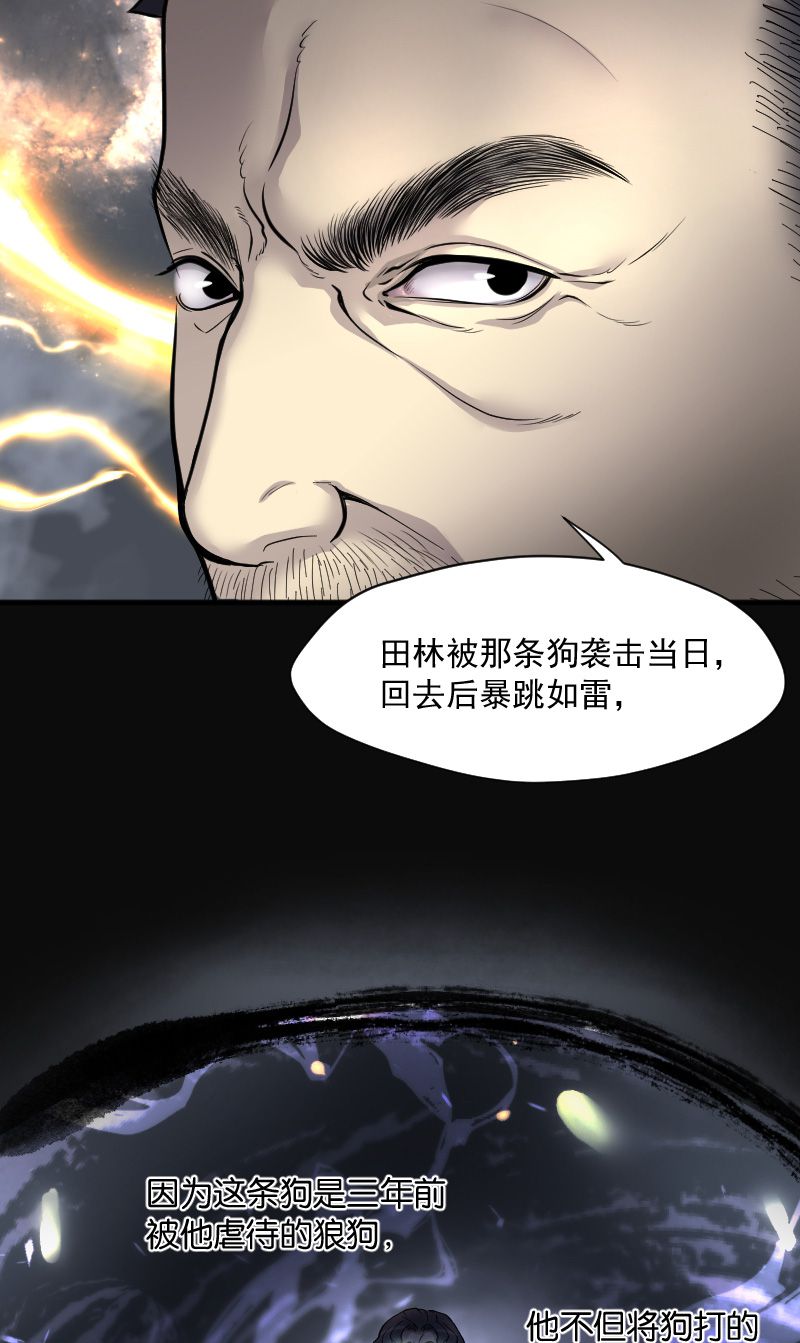 第229话4