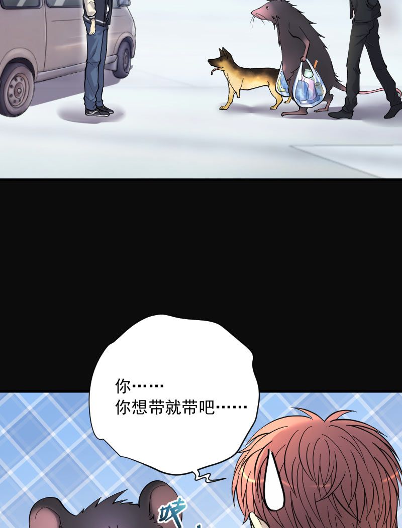 第240话23