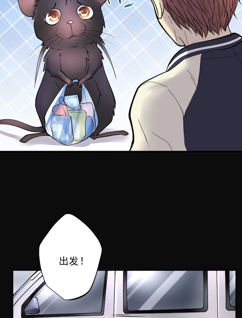 第240话24