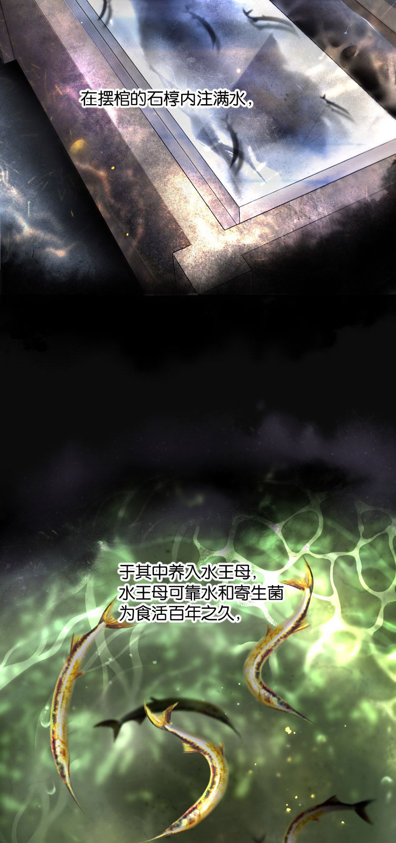 第248话11