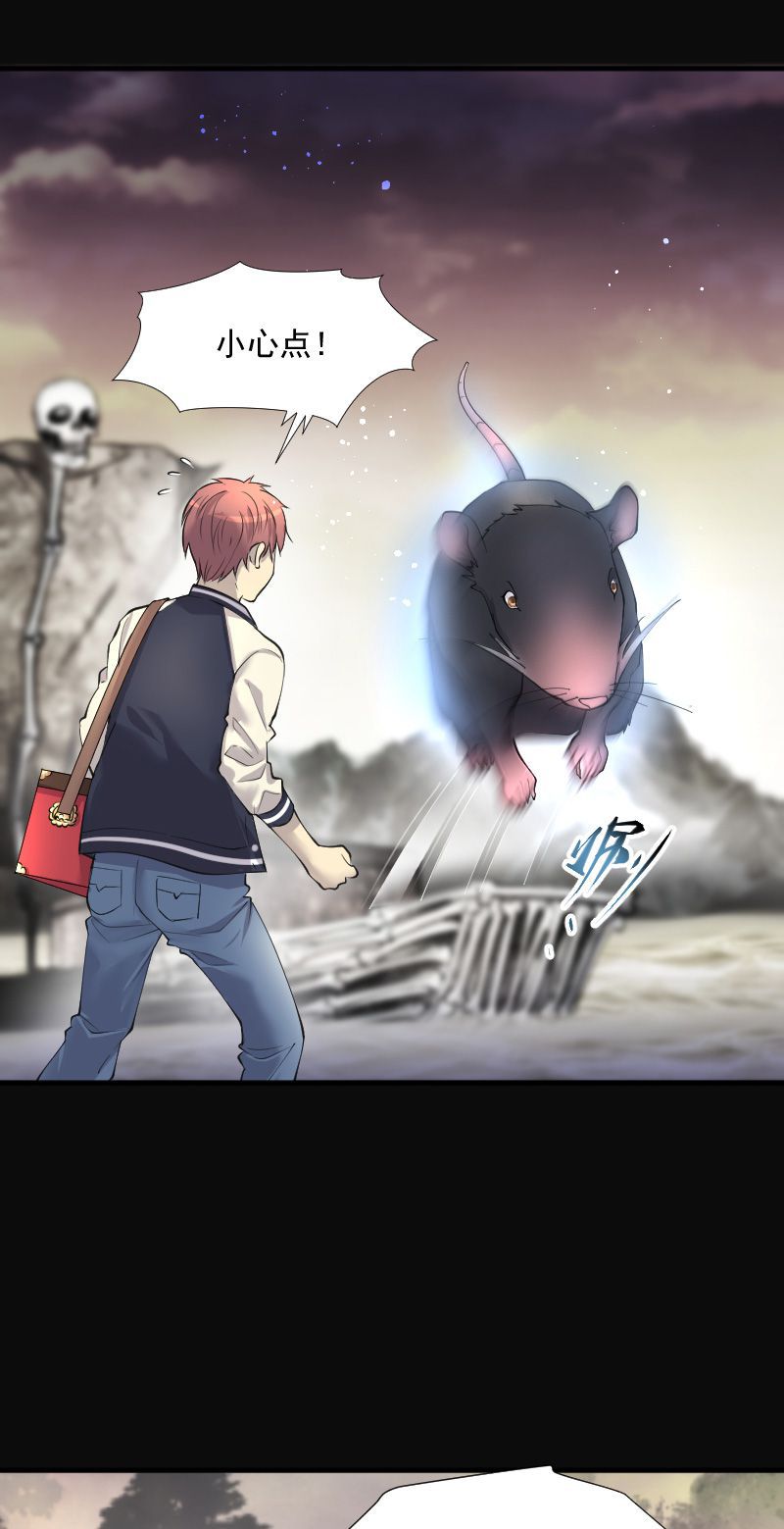 第254话0