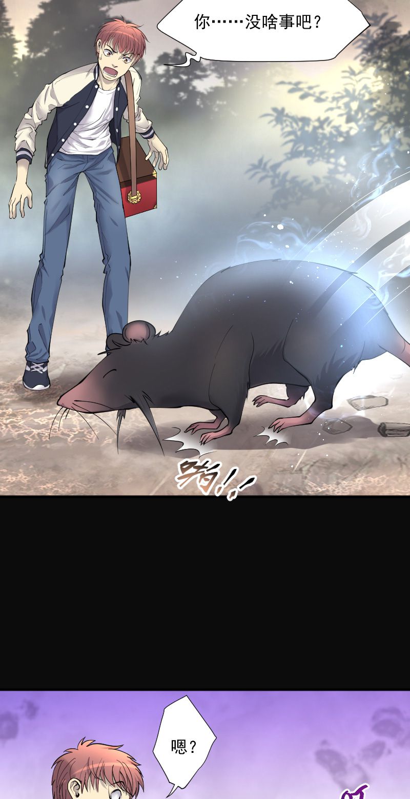 第254话1