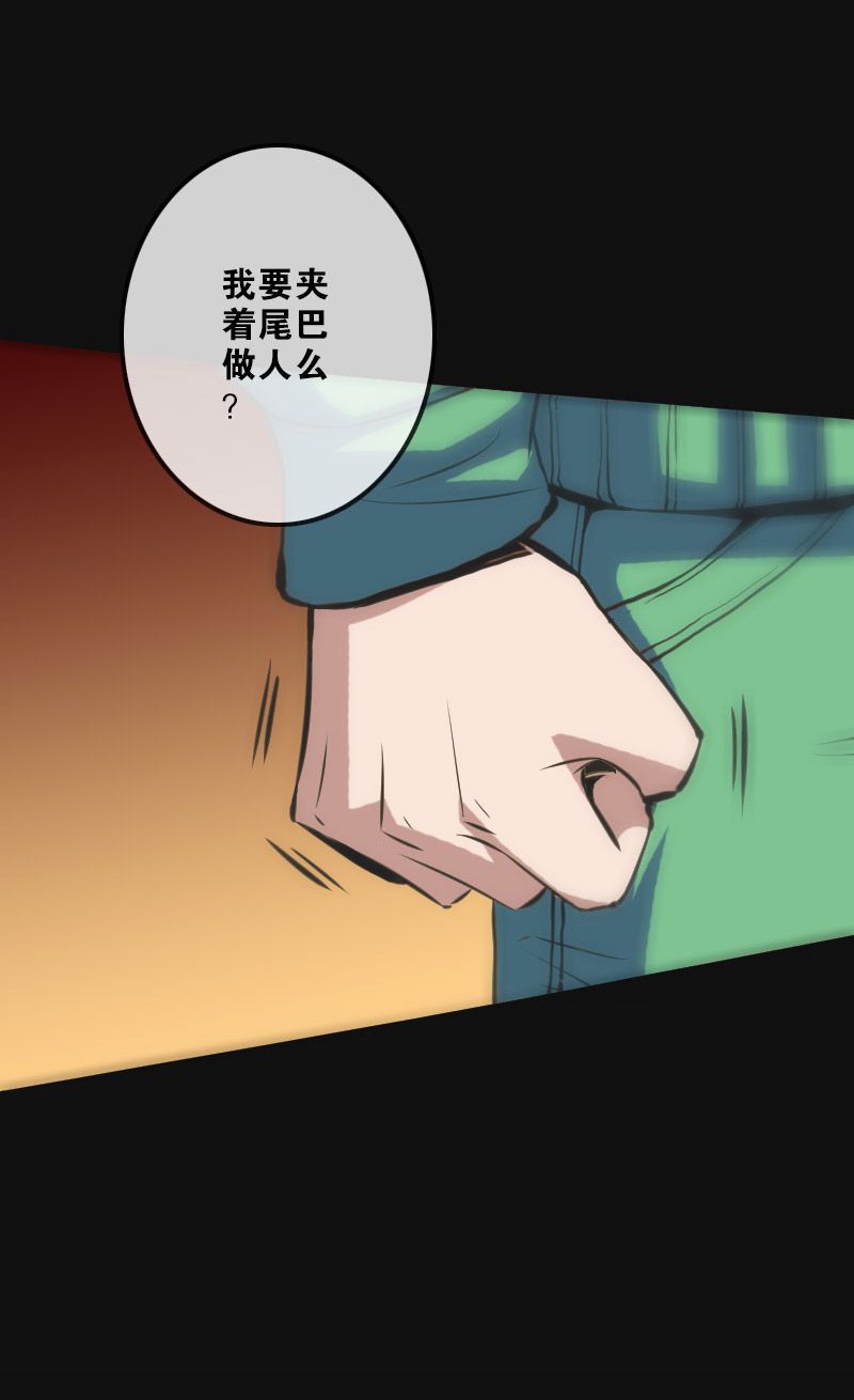 第117话12