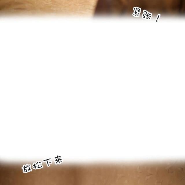 第27话10