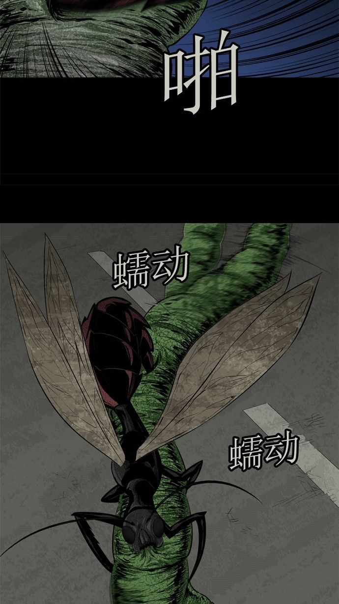 第33话11