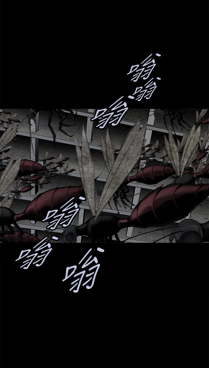 第116话19