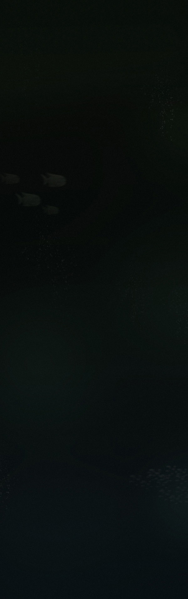 第13话24