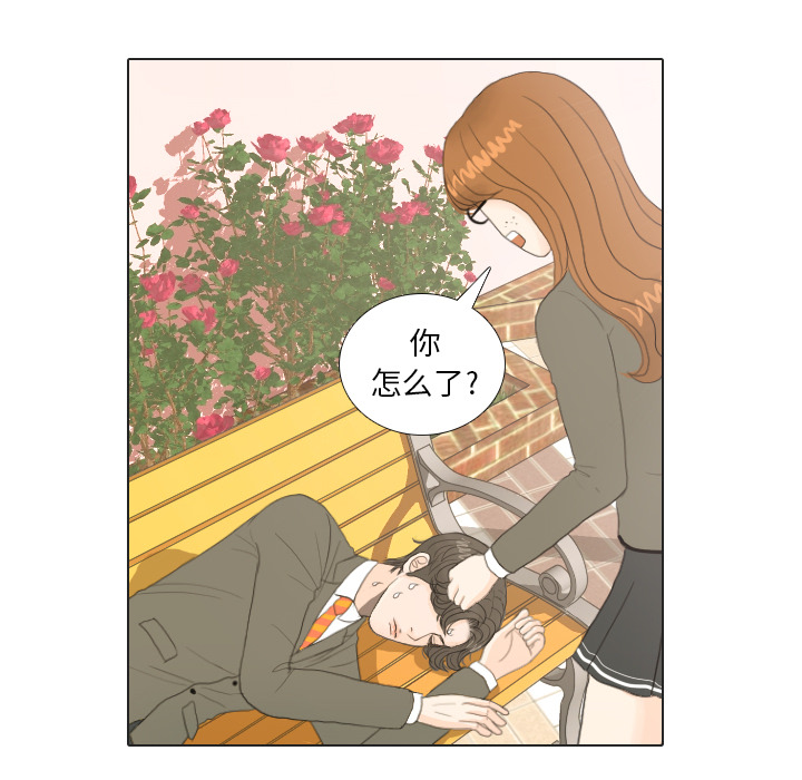 第19话 寻找多美436