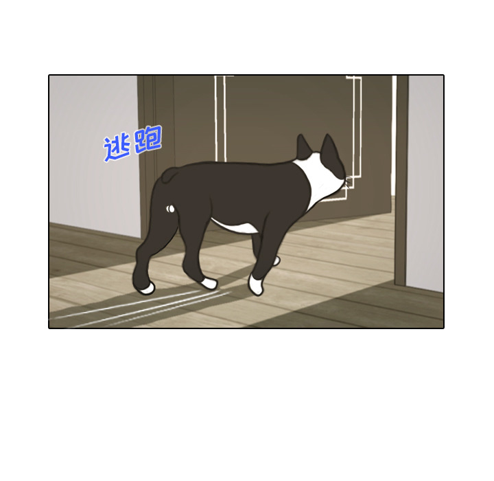 第17话 寻找多美224