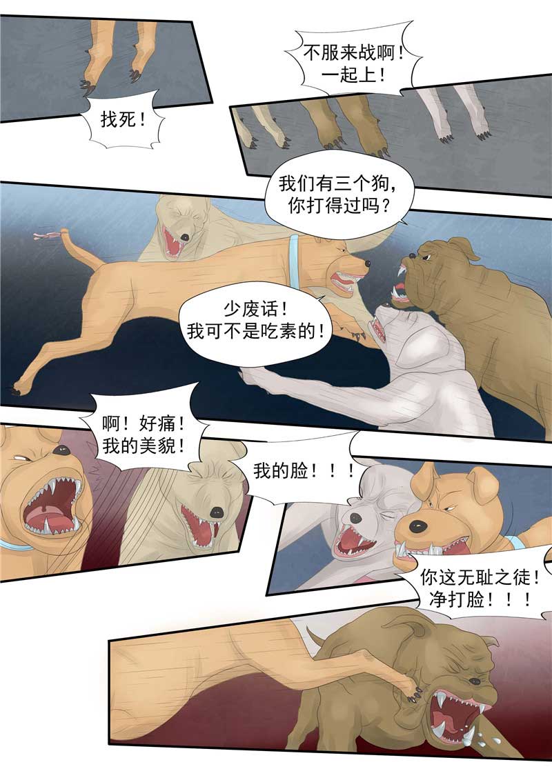 第44话16