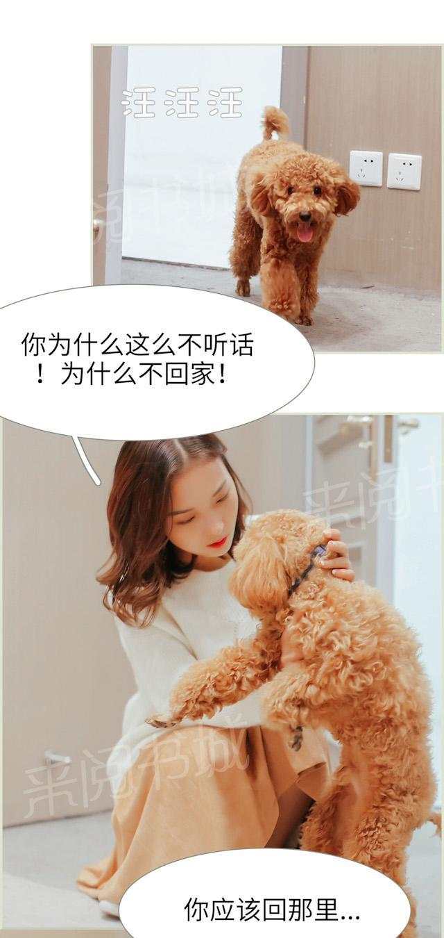 第43话 我们已经离婚了1