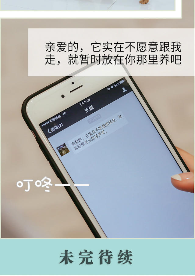 第44话15