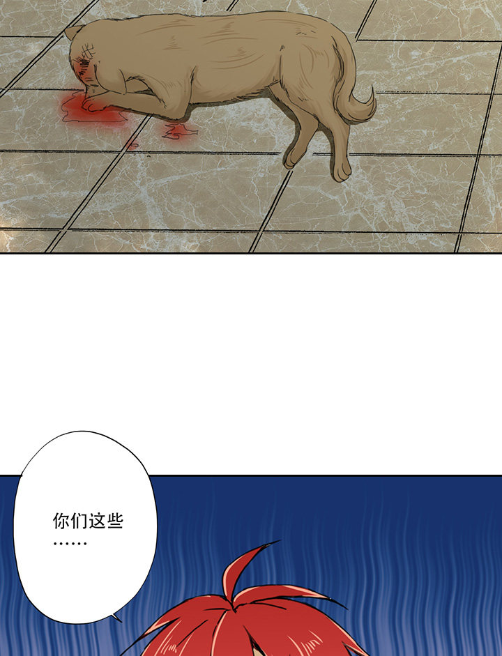 第19话17