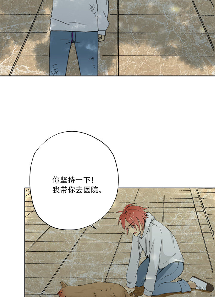 第19话20