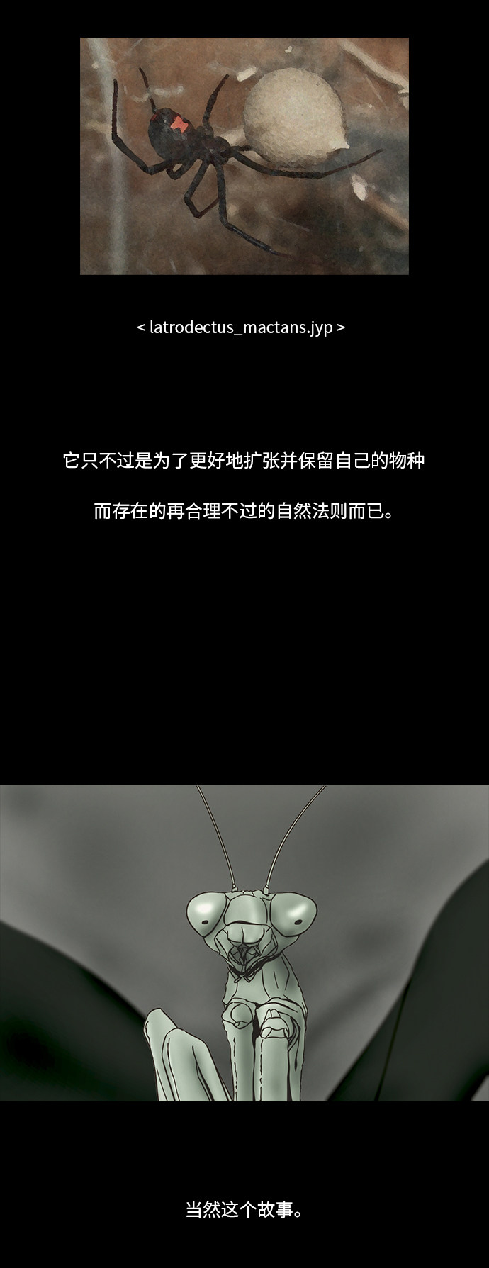 第81话22
