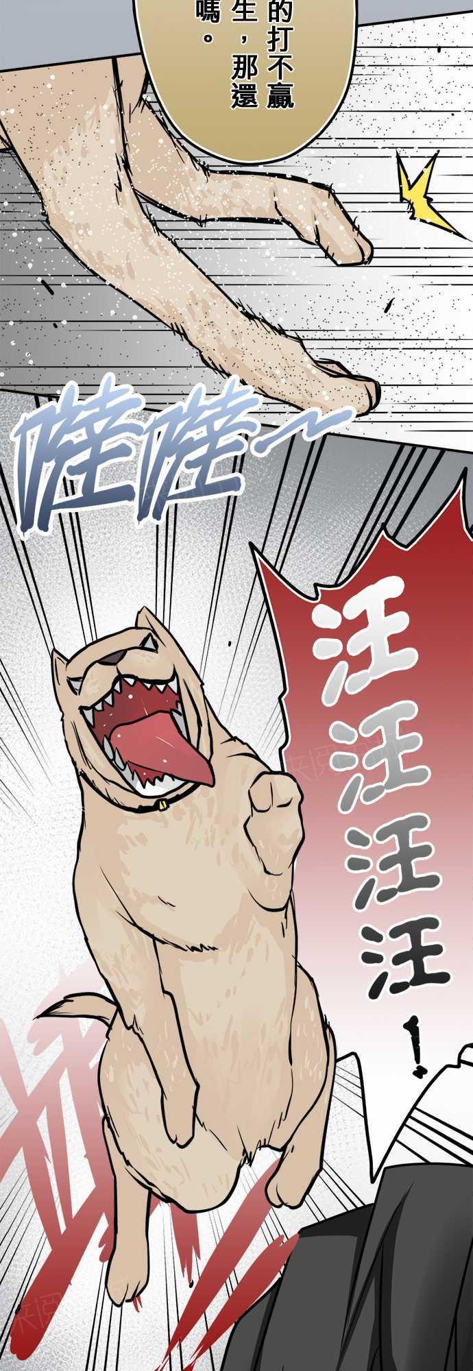 第37话13