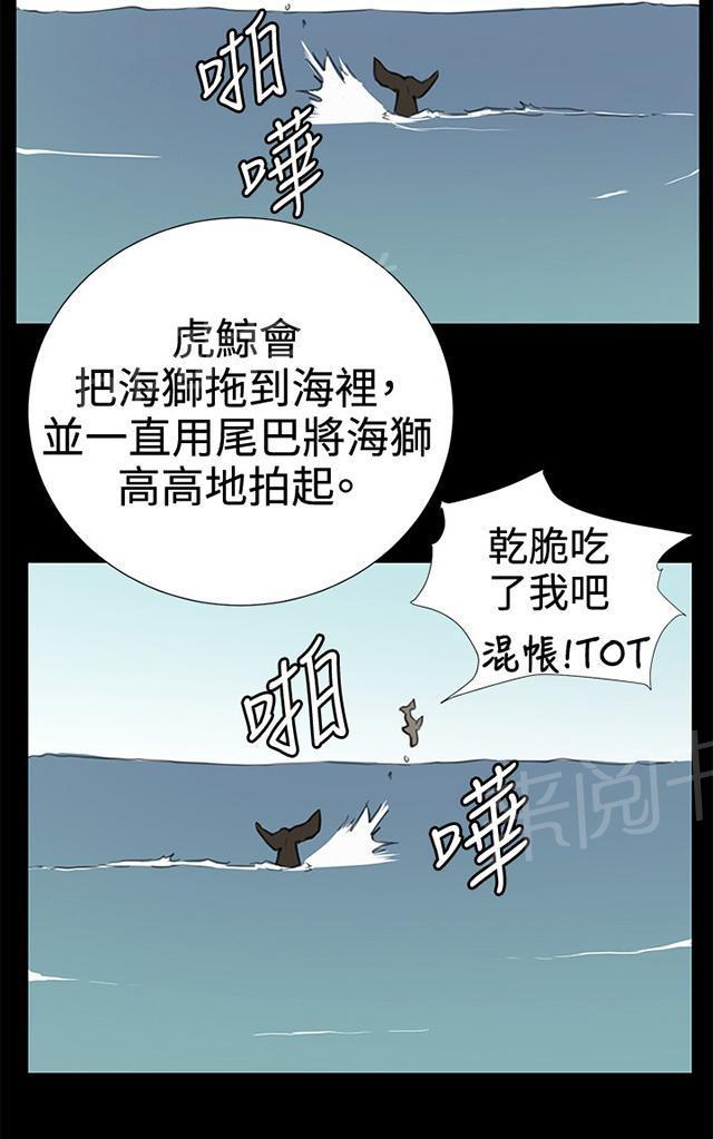 第29话 她的力量71