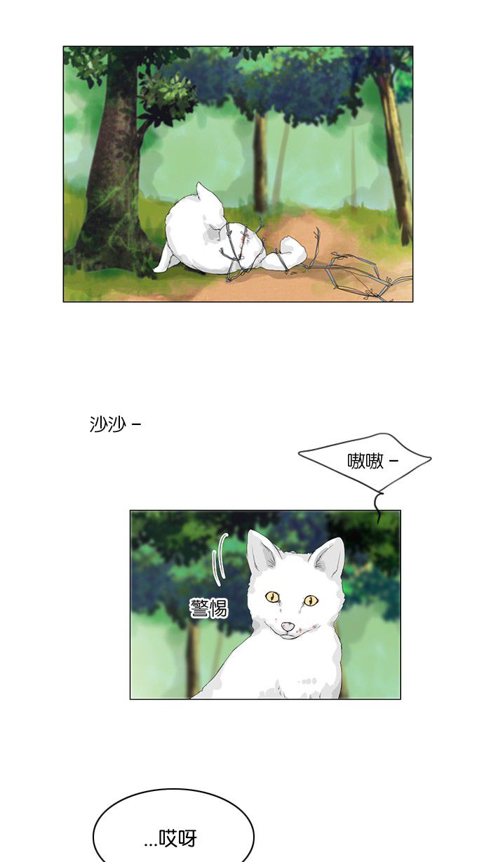 第31话1