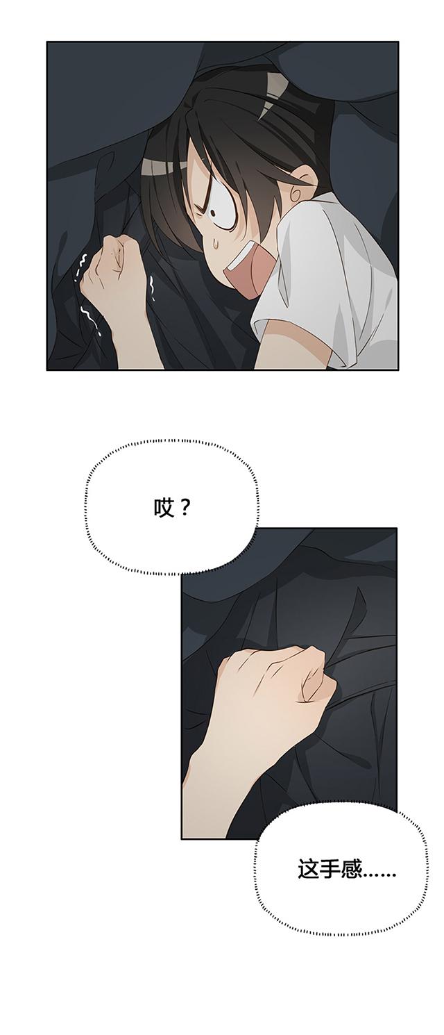 第5话 我摸了什么？12