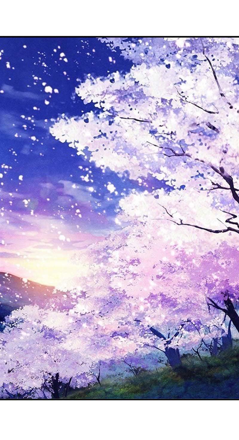 第31话11
