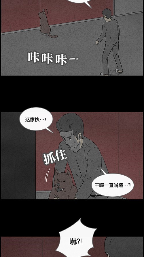 第51话11