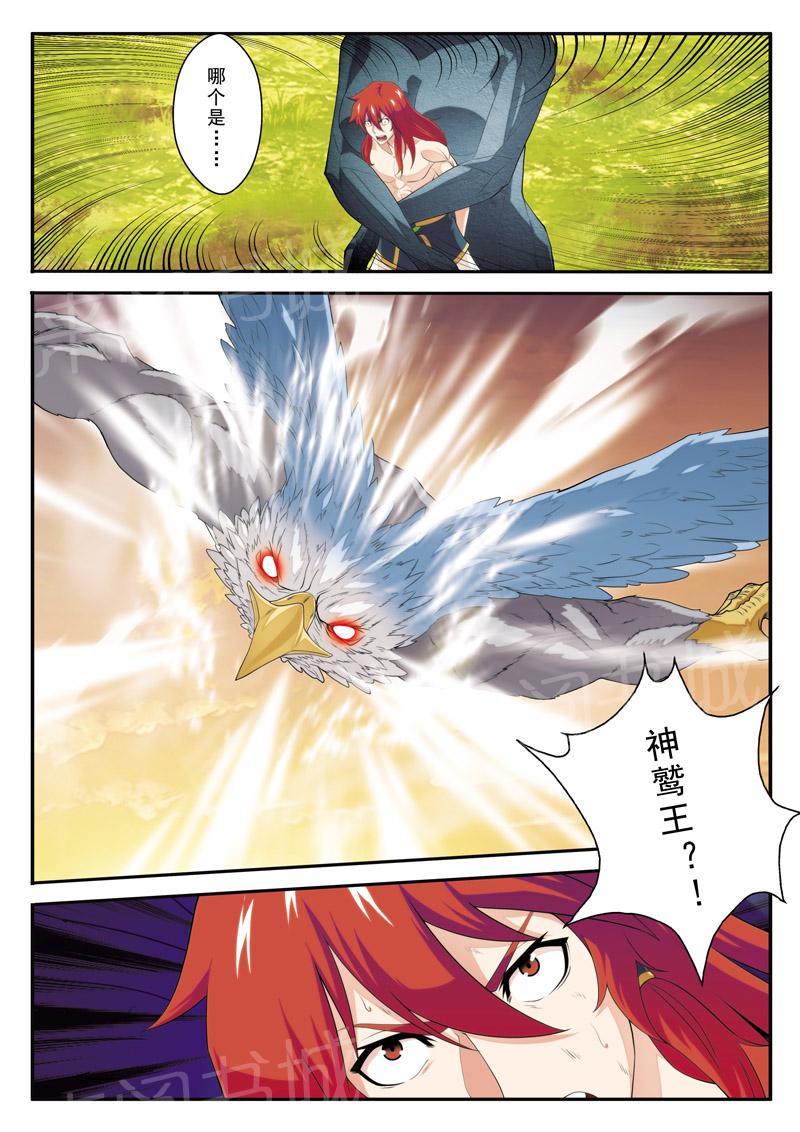 第117话5