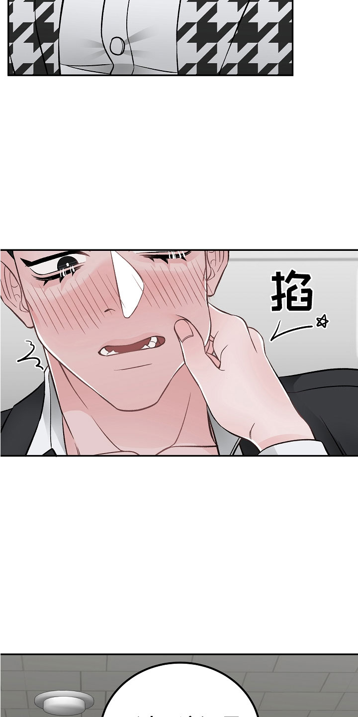 第11章：完美伙伴10
