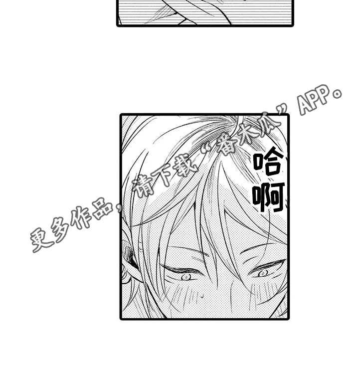 第17章：迷茫14