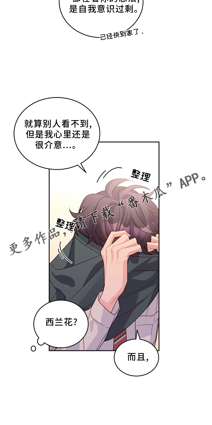 第41章：胎记12