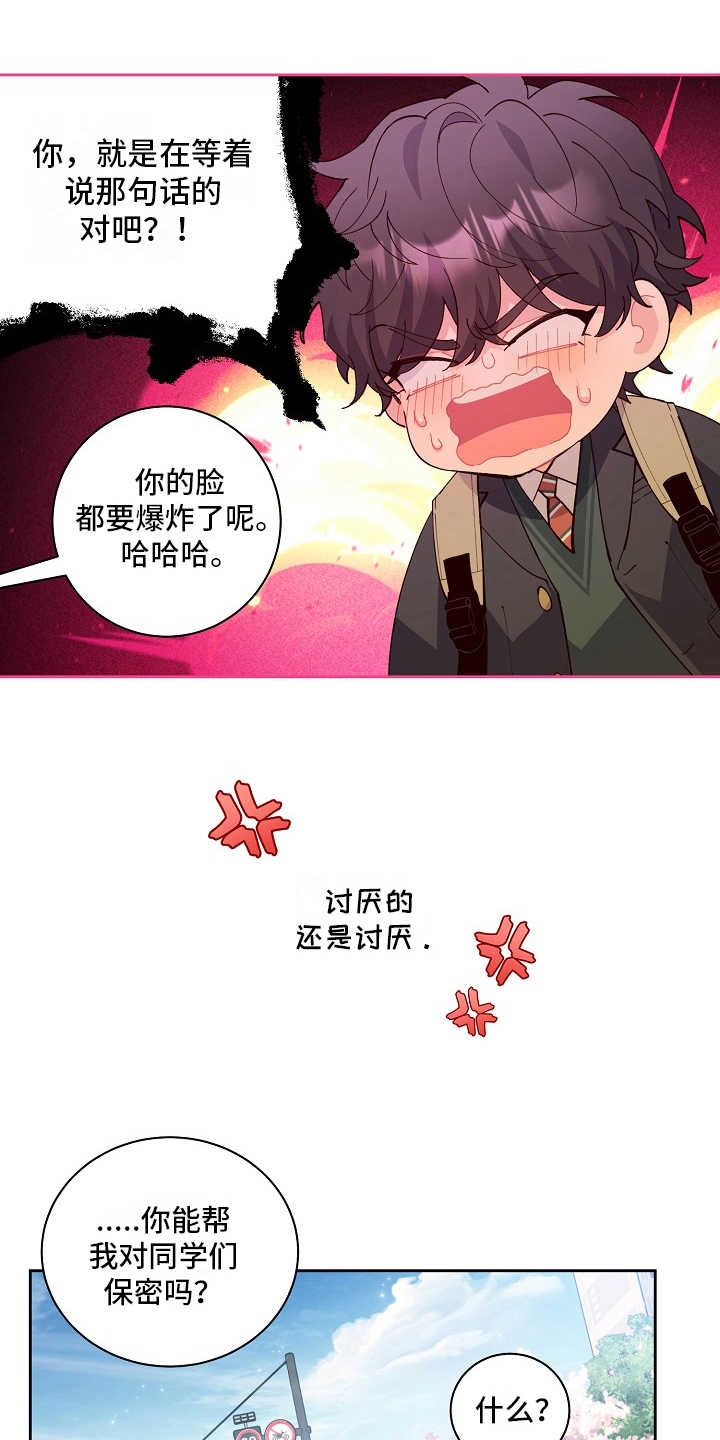 第26章：保密13