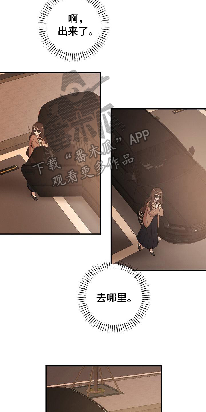 第24章：观察11