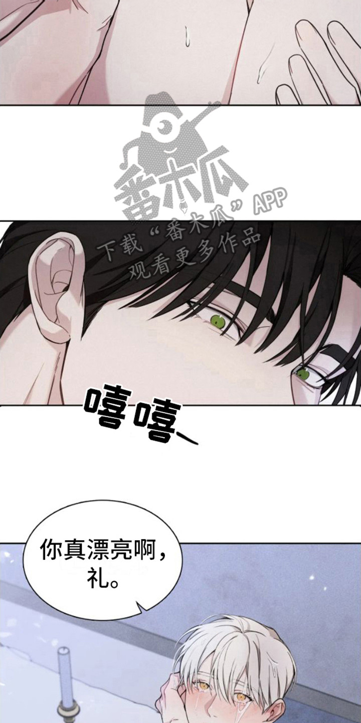 第6章：很漂亮15